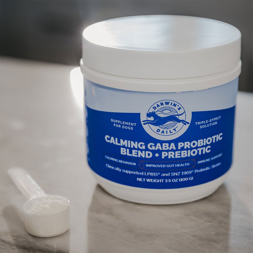 Darwin's Daily Calming Gaba Probiotic Blend with scooper