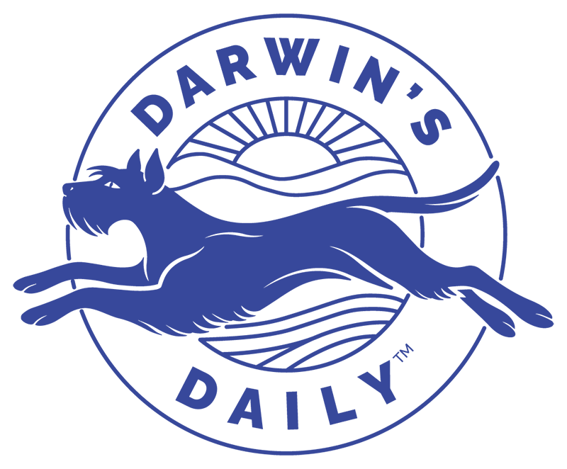 Darwin's Daily Logo