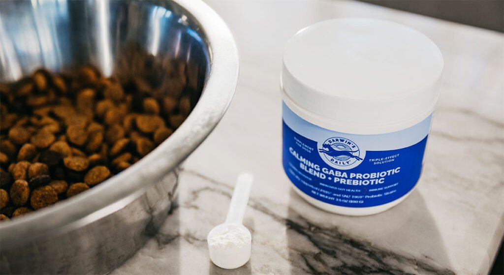 Dog food bowl next to Darwin's Daily product
