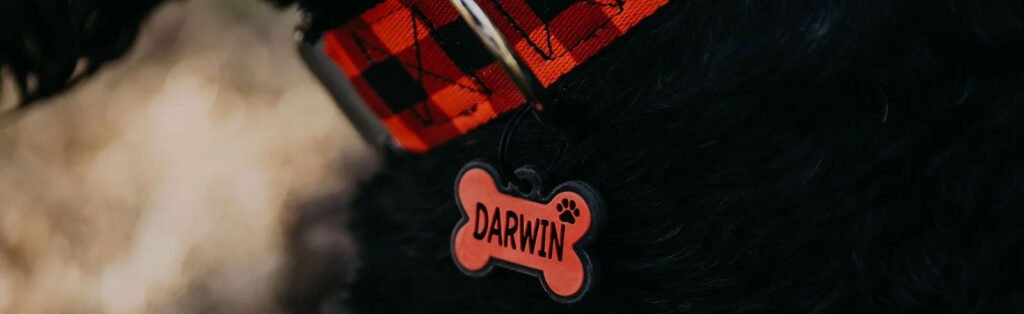 Darwin dog tag