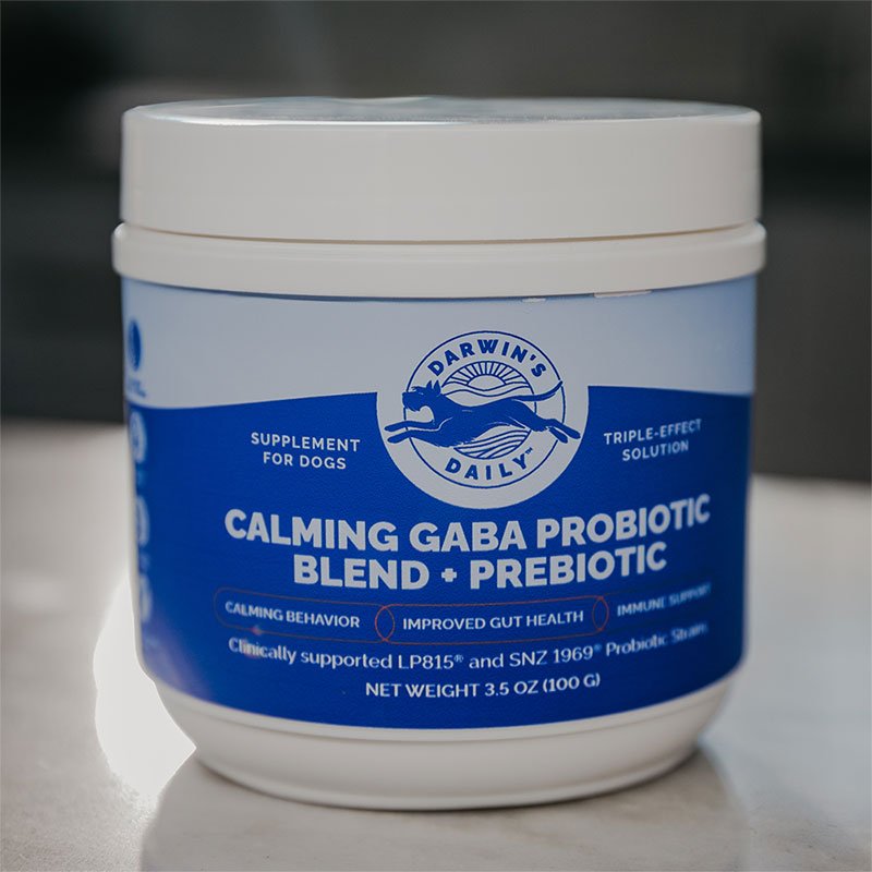 Darwin's Daily Calming Gaba Probiotic Blend