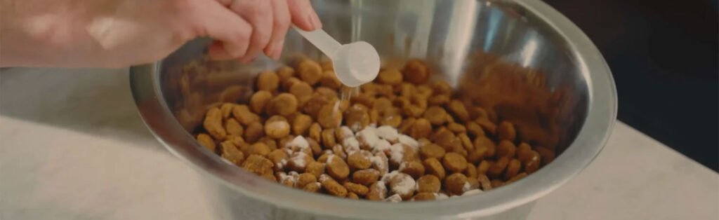 Darwins Daily powder on dog food